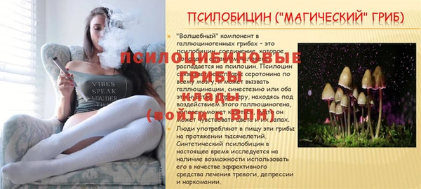 a pvp Кинешма
