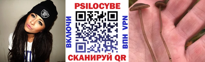 Псилоцибиновые грибы мицелий  Купить  Межгорье 